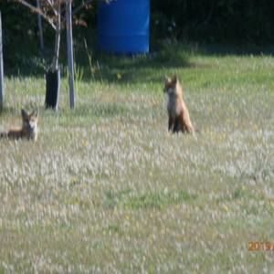 Meet your Posher, Jean